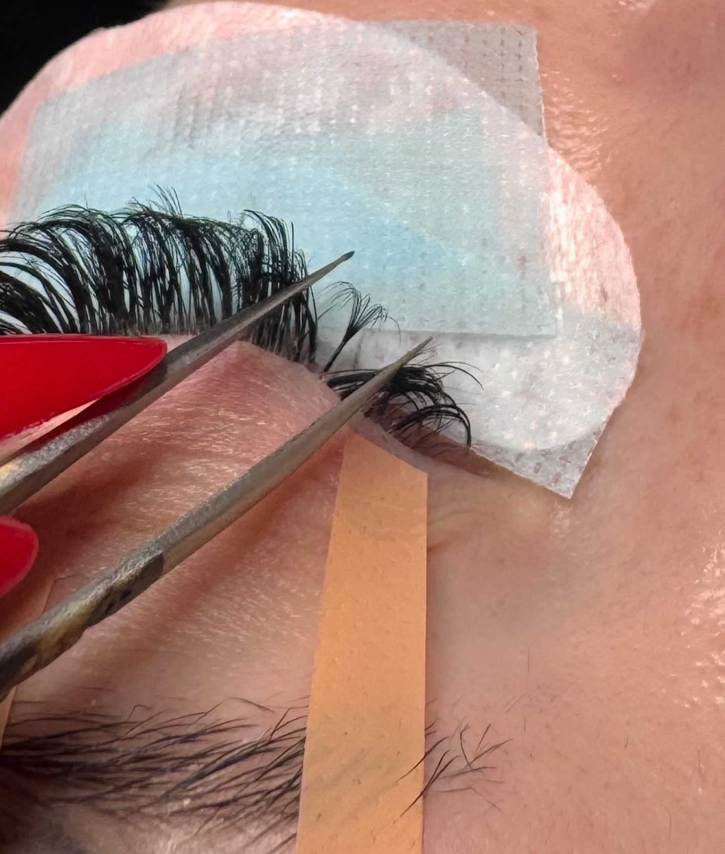 Magnified view of a hybrid lash set